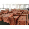 Vente Copper Cathode 99.99 Grade a